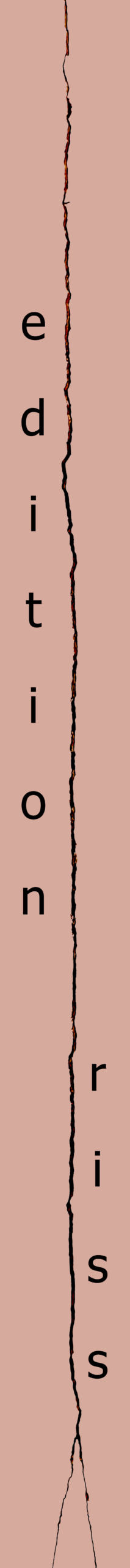 Editionriss